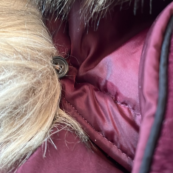 Puffer Vest - Picture 4 of 6